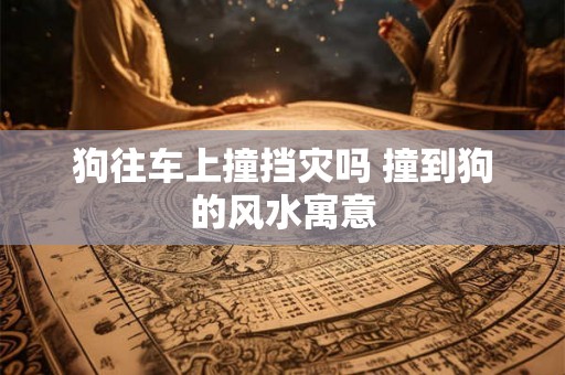 狗往车上撞挡灾吗 撞到狗的风水寓意 狗往车上撞挡灾吗 撞到狗的风水寓意
