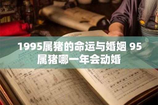 1995属猪的命运与婚姻 95属猪哪一年会动婚