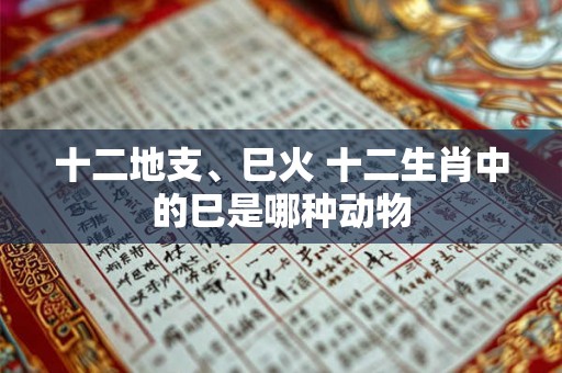 十二地支、巳火 十二生肖中的巳是哪种动物