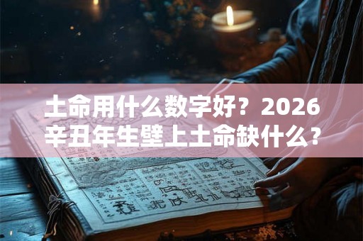 土命用什么数字好？2026辛丑年生壁上土命缺什么？