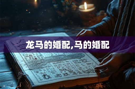 龙马的婚配,马的婚配