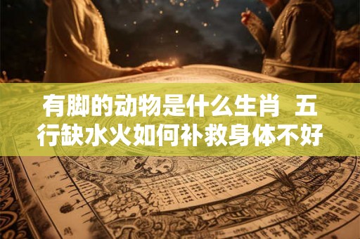 有脚的动物是什么生肖  五行缺水火如何补救身体不好