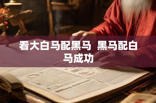看大白马配黑马 黑马配白马成功 看大白马配黑马 黑马配白马成功