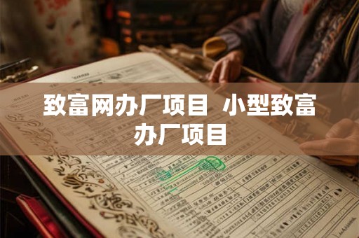致富网办厂项目  小型致富办厂项目