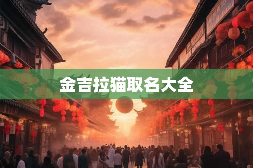 金吉拉猫取名大全