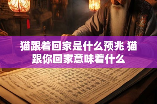 猫跟着回家是什么预兆 猫跟你回家意味着什么