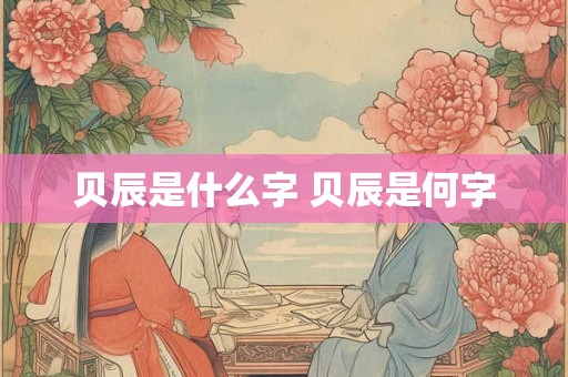 贝辰是什么字 贝辰是何字