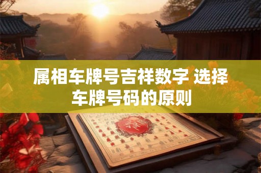 属相车牌号吉祥数字 选择车牌号码的原则