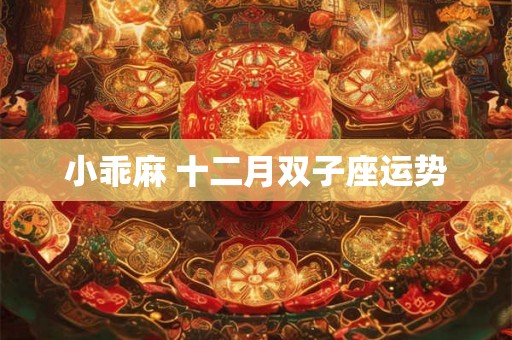 小乖麻 十二月双子座运势