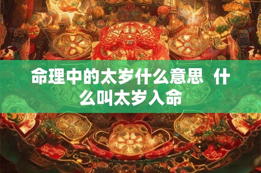命理中的太岁什么意思  什么叫太岁入命