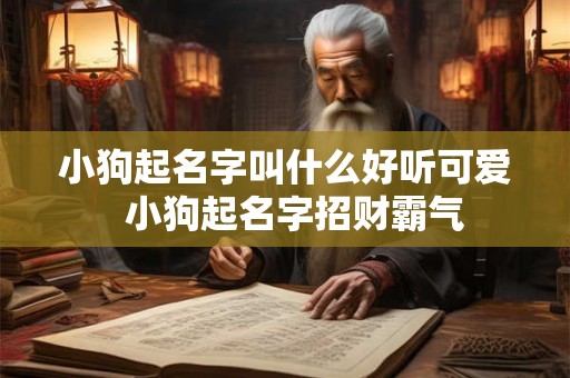 小狗起名字叫什么好听可爱  小狗起名字招财霸气