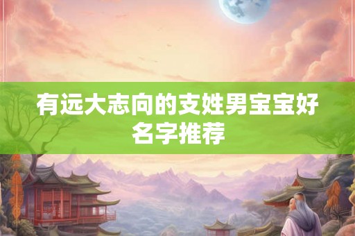 有远大志向的支姓男宝宝好名字推荐 有远大志向的支姓男宝宝好名字推荐
