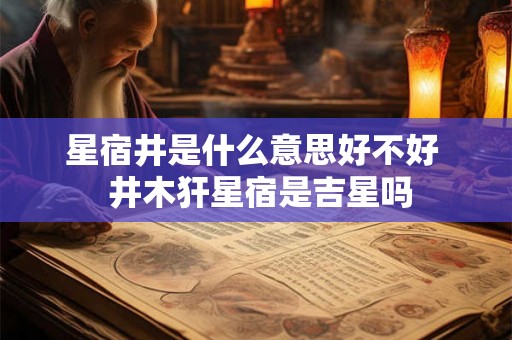 星宿井是什么意思好不好  井木犴星宿是吉星吗