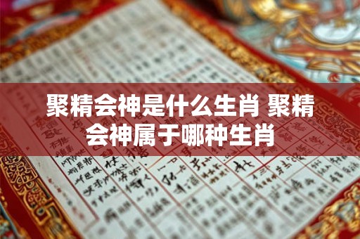 聚精会神是什么生肖 聚精会神属于哪种生肖 聚精会神是什么生肖 聚精会神属于哪种生肖