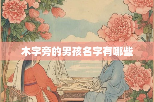 木字旁的男孩名字有哪些