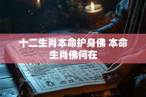 十二生肖本命护身佛 本命生肖佛何在 十二生肖本命护身佛 本命生肖佛何在