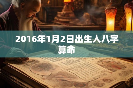 2016年1月2日出生人八字算命