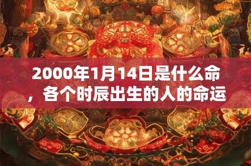2000年1月14日是什么命,各个时辰出生的人的命运 2000年1月14日是什么命,各个时辰出生的人的命运