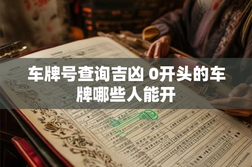 车牌号查询吉凶 0开头的车牌哪些人能开