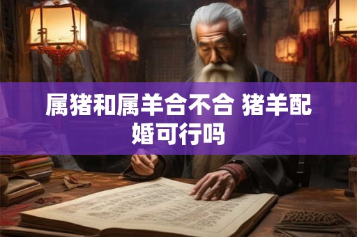 属猪和属羊合不合 猪羊配婚可行吗