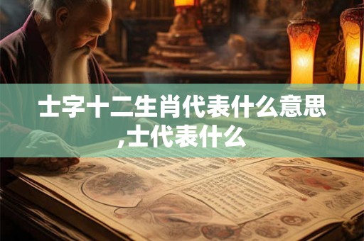 士字十二生肖代表什么意思,士代表什么