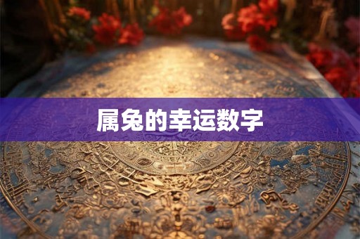 属兔的幸运数字
