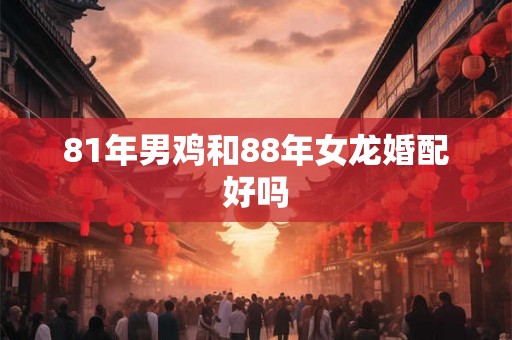 81年男鸡和88年女龙婚配好吗