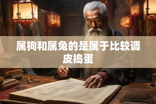 属狗和属兔的是属于比较调皮捣蛋