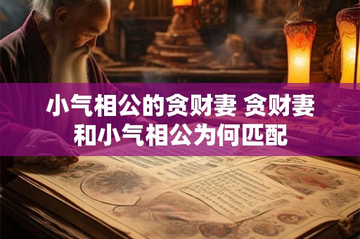 小气相公的贪财妻 贪财妻和小气相公为何匹配