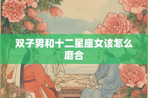 双子男和十二星座女该怎么磨合