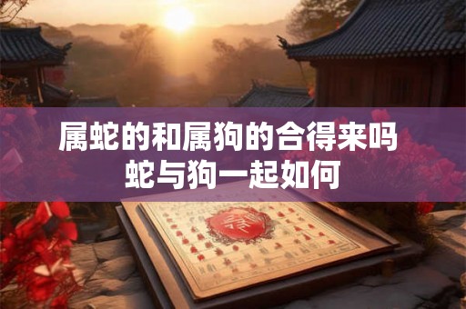 属蛇的和属狗的合得来吗 蛇与狗一起如何 属蛇的和属狗的合得来吗 蛇与狗一起如何