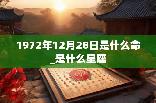 1972年12月28日是什么命_是什么星座 1972年12月28日是什么命_是什么星座