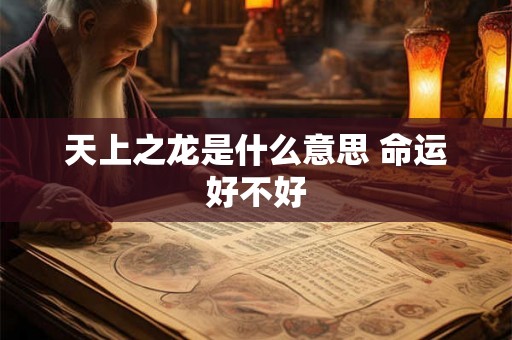 天上之龙是什么意思 命运好不好 天上之龙是什么意思 命运好不好