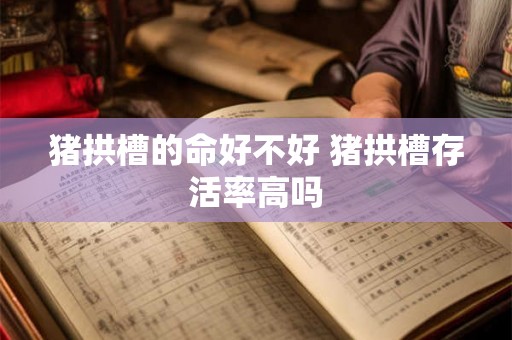 猪拱槽的命好不好 猪拱槽存活率高吗