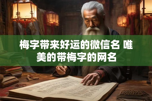 梅字带来好运的微信名 唯美的带梅字的网名