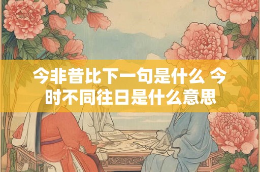 今非昔比下一句是什么 今时不同往日是什么意思