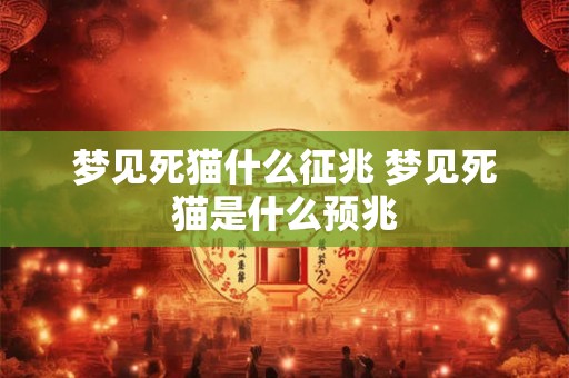 梦见死猫什么征兆 梦见死猫是什么预兆