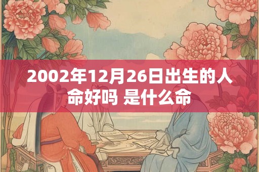 2002年12月26日出生的人命好吗 是什么命