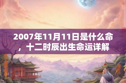 2007年11月11日是什么命，十二时辰出生命运详解