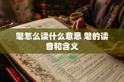 氅怎么读什么意思 氅的读音和含义