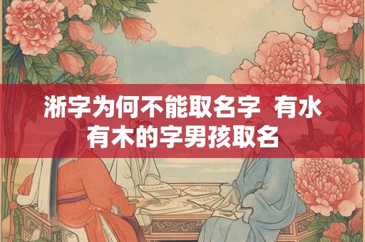淅字为何不能取名字  有水有木的字男孩取名