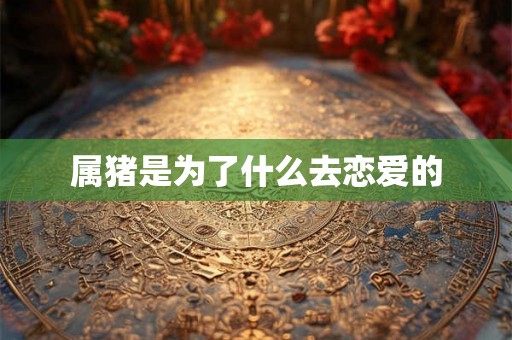 属猪是为了什么去恋爱的