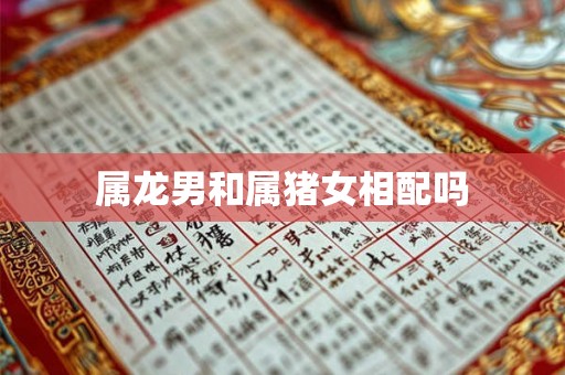 属龙男和属猪女相配吗