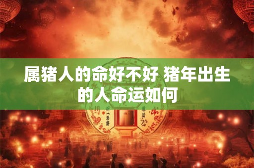 属猪人的命好不好 猪年出生的人命运如何