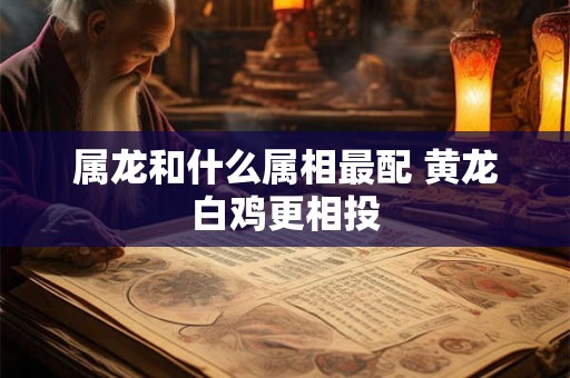 属龙和什么属相最配 黄龙白鸡更相投