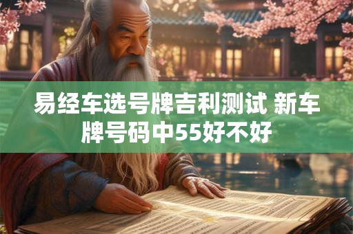 易经车选号牌吉利测试 新车牌号码中55好不好 易经车选号牌吉利测试 新车牌号码中55好不好