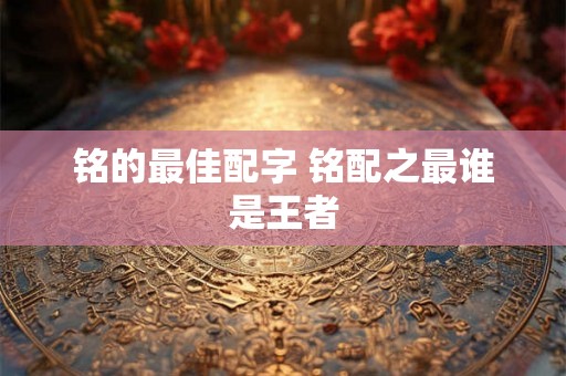 铭的最佳配字 铭配之最谁是王者
