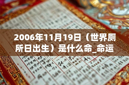2006年11月19日（世界厕所日出生）是什么命_命运如何