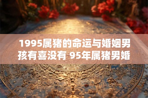 1995属猪的命运与婚姻男孩有喜没有 95年属猪男婚姻状况 1995属猪的命运与婚姻男孩有喜没有 95年属猪男婚姻状况