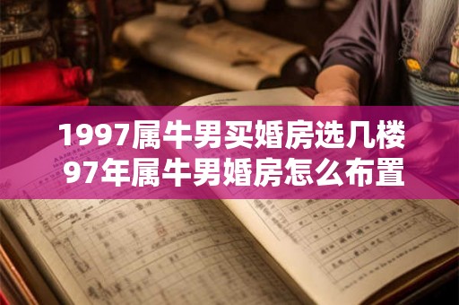 1997属牛男买婚房选几楼 97年属牛男婚房怎么布置